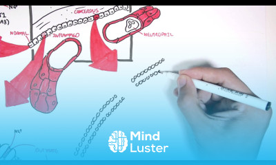 Molecular effects of Butyrate