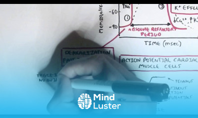 Cardiology Heart Physiology II Muscle contraction and Pacemaker activity