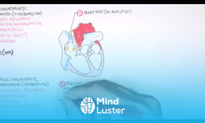 Cardiology Cardiac Output
