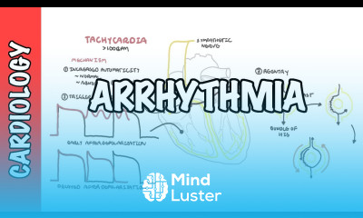 Arrhythmia Overview Mechanism of bradyarrhythmia and tachyarrhythmia