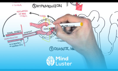 Chronic Kidney Disease CKD Pathophysiology
