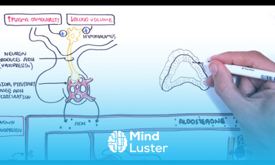 Hormones in body fluid homestasis ADH vasopressin Aldosterone and Natriuretic peptides