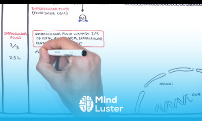 Overview of Fluid and Electrolyte Physiology Fluid Compartment