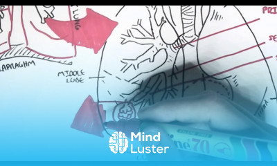 Respiratory System Overview