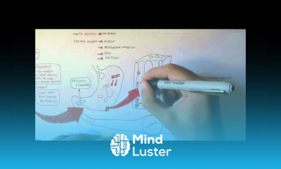 Digestive System Physiology Overview