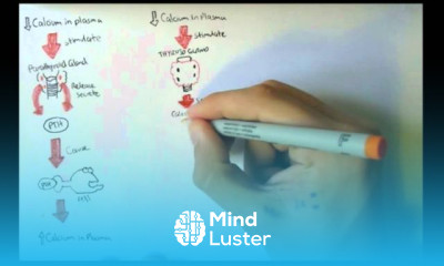 Bone Homeostasis Calcium and Phosphate Hormones
