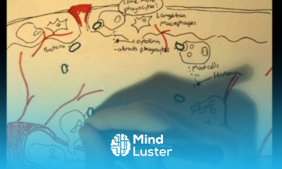 Immunology Innate Immunity Inflammatory Response