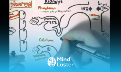 Bone Homeostasis Calcium and Phosphorus Part II
