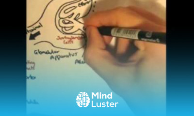 Renin Angiotensin System Renin Prorenin