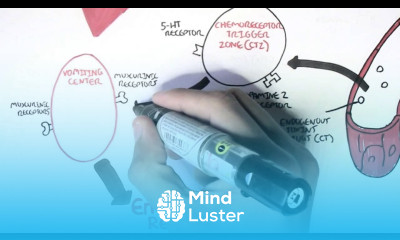 Physiology of Vomiting