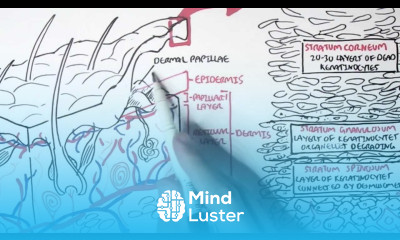 Dermatology Overview