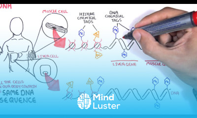 Epigenetics basics Garvan Institute