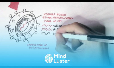 Microbiology Viruses Structure Types and Bacteriophage Replication