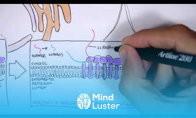 Microbiology Hepatitis C Virus