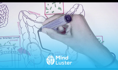 Human Gut Microbiome