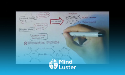 DNA Forces maintaining structure