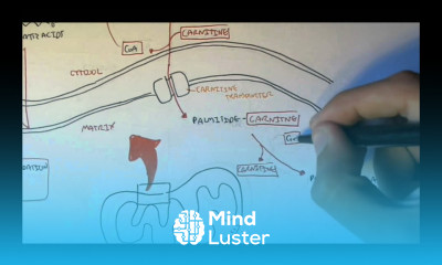 Human Metabolism Map VI Fatty Acid Transporter