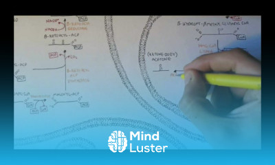 Human Metabolism Map VIII Ketone Body Production