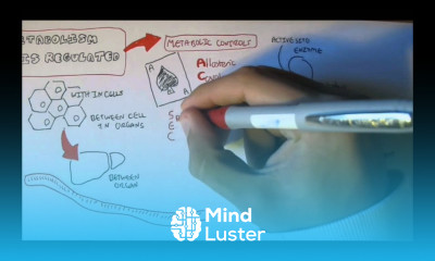 Regulation of Enzyme Activity
