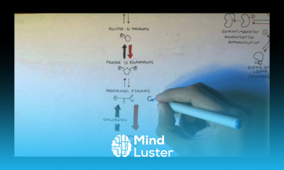 Regulation of Glycolysis and Gluconeogenesis