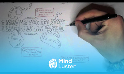 Cell membrane IV Saturated Unsaturated and Cholesterol