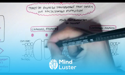 Passive Diffusion Simple and Facilitated