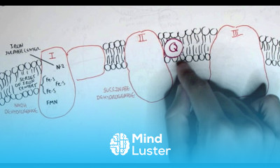 PART I Oxidative Phosphorylation Electron Transport Chain