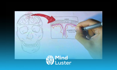 Neurology Physiology Overview