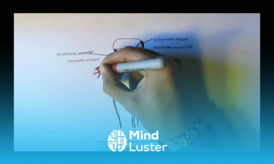 Neuroanatomy Cranial Nerves