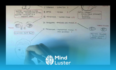 Cranial Nerves Functions and Disorders
