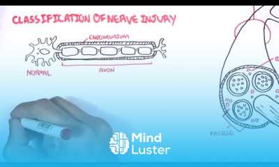 Neurology Nerve Damage and Regeneration