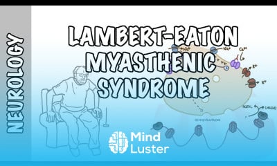 Lambert Eaton Myasthenic Syndrome pathophysiology signs and symptoms and treatment