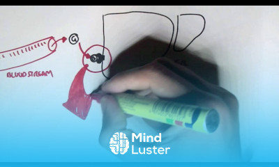 Endocrinology Glucagon