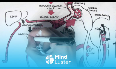 Part II Regulation of Blood Pressure Hormones