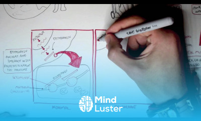 Muscular Dystrophy Duchenne Becker and Mytonic