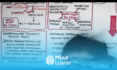 Liver Disease Part II