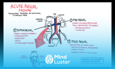 Acute Renal Failure