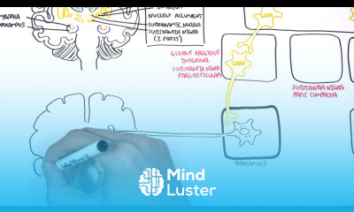 Parkinson s Disease Shaking Palsy Clinical Presentation and Pathophysiology