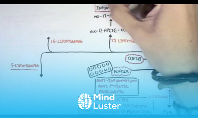 Part II Aracidonic Acid Metabolites