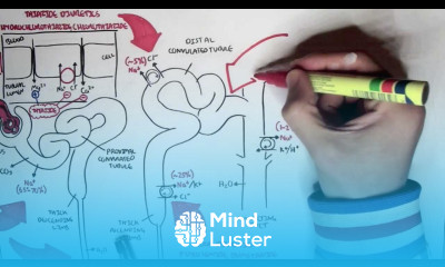 Pharmacology Diuretics