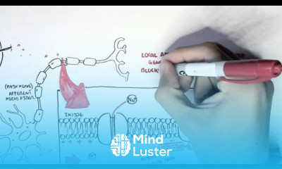 Pharmacology Local Anaesthetic