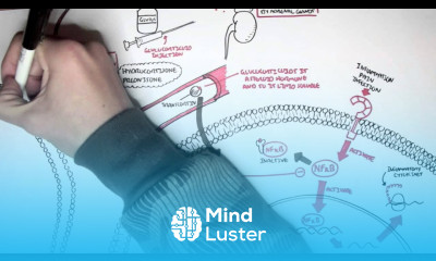 Pharmacology Glucocorticoids