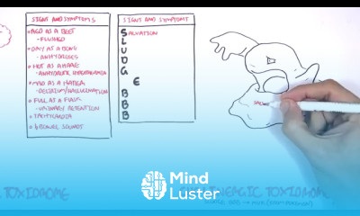 Cholinergic and Anticholinergic Toxicity Toxidrome