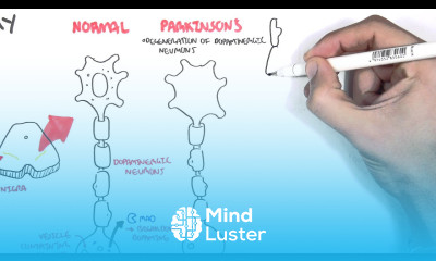Pharmacology Parkinson s Disease