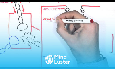 Pharmacology Antiepileptics