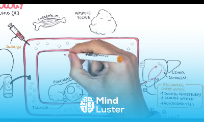 Pharmacology Diabetes Medication