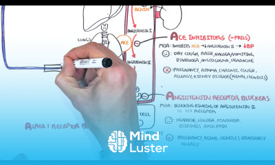 Pharmacology Antihypertensives
