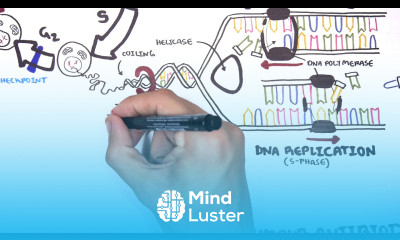 Pharmacology Chemotherapy agents MOA Alkalating antimetabolites topoisomerase antimitotic