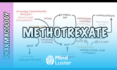 Methotrexate Pharmacology DMARDs mechanism of action side effects