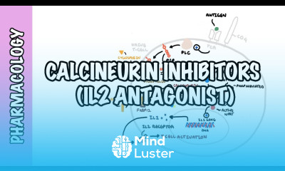 Calcineurin Inhibitors Tacrolimus and Cyclosporine IL2 Mechanism of action adverse effects